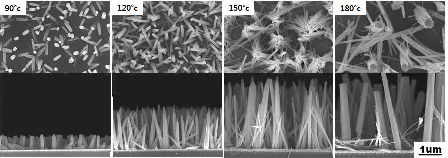 온도별로 제조된 ZnO nanorod
