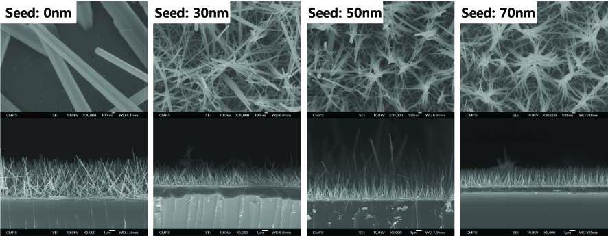 ZnO seed layer별로 NaOH를 첨가하여 합성한 ZnO nanorod