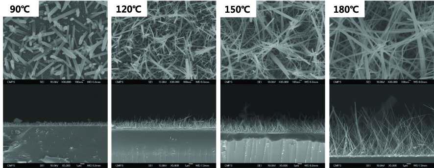 온도 변화에 따라 합성한 ZnO nanorod