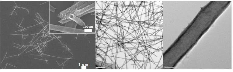 ALD를 이용하여 TiO2 conformal coating이 된 TiO2 nanotube의 TEM image