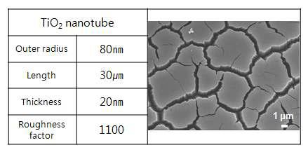 제조된 TiO2의 roughness factor