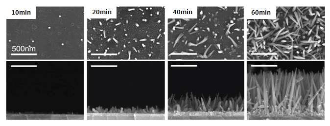 증착 시간에 따른 ITO nanorod의 SEM image