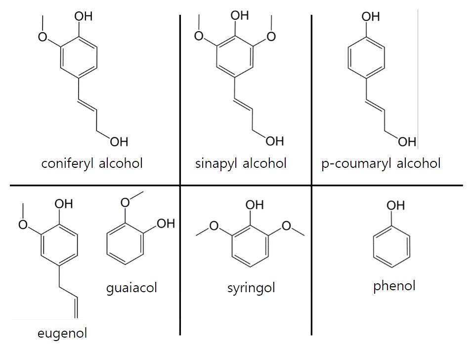 리그닌 구성체(위)와 단량체 모델 화합물(아래)