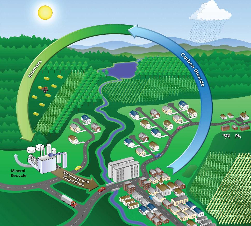 Biomass 로 부터의 에너지 및 화학원료 생산에 의한 CO2 순환을 보여주는 모식도 (www.ornl.gov/info/ornlreview/v33_2_00/bioenergy.htm)