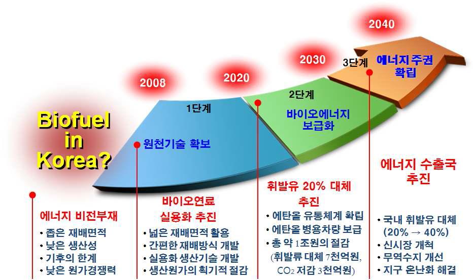 국내 바이오연료 향후 추진방향