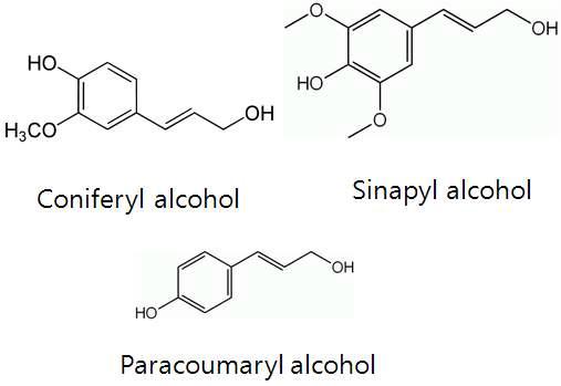 리그닌의 단량체인 리그놀의 구조