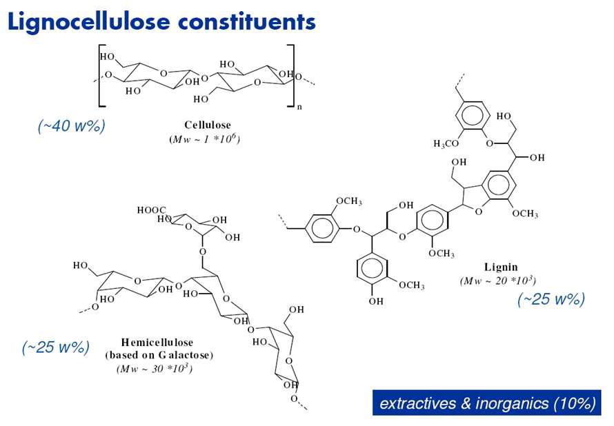 리그노 셀룰로오스를 이루는 물질들
