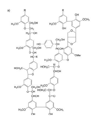리그닌 구조