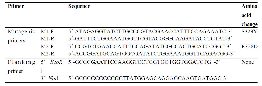 돌연변이 제작에 사용한 primer