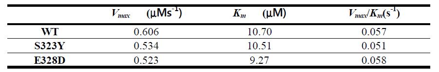 야생형과 돌연변이형 CiP의 kinetic 특성