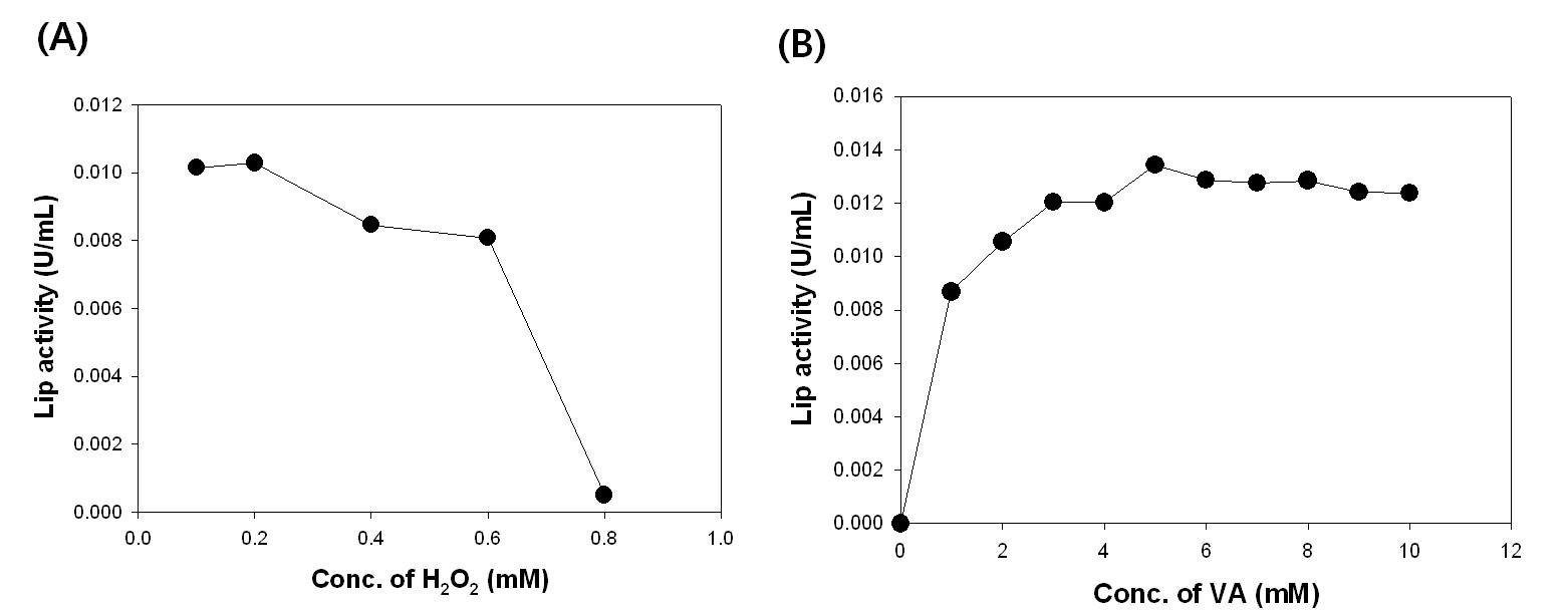 과산화수소 (A)와 veratryl alcohol (B)의 농도에 따른 Lip의 활성 변화