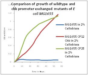 Cellulobiose 분해능