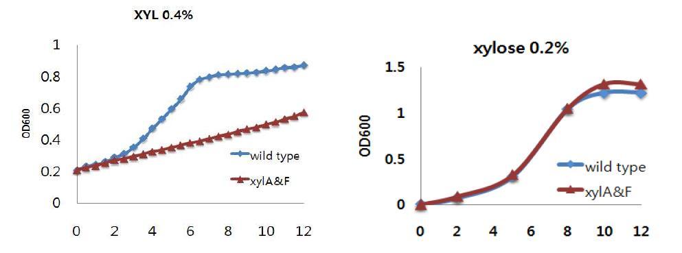 pCP25xylA,pCP6xylF wild type의 xylose0.4%를 포함하는 minimal media 에서의 성장곡선