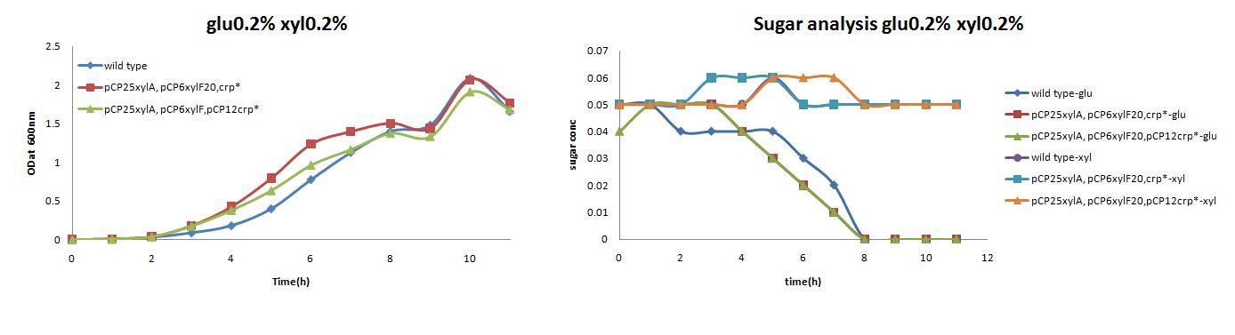 0.2% glucose 와 0.2% xylose를 포함하는 minimal media에서의 wild type, pCP25xylA, pCP6xylF20,crp* 그리고pCP25xylA, pCP6xylF20,pCP12crp*의 growth curve와 sugar consumption을 관찰함.