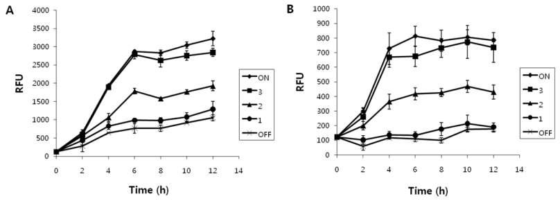 초기에 ON을 유지한 상태에서 1,2,3, 시간 후 각각 빛을 OFF 하였을 때의 JM1012-3P-RBS0.3과 JM1012-3P-RBS0.1에서의 유전자 발현의 비교.