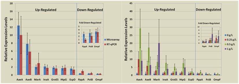 Microarray and RT-qPCR results for an exposure to ferulic acid for 10 minutes. The left panel shows the comparison between the microarray results (4 replicates) and the RT-qPCR results with 0.25 g/L ferulic acid. The right panel is the RT-qPCR results from all of the concentrations tested in this study.