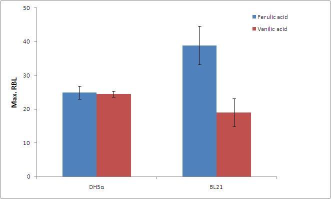 Maximum relative bioluminescence for E. coli BL21 and DH5α when exposed to either ferulic or vanillic acid