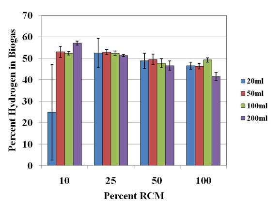 The lowered biogas production in 100 ml culture has a similar amount of hydrogen, demonstrating that both carbon dioxide and hydrogen production is reduced in this cultures.