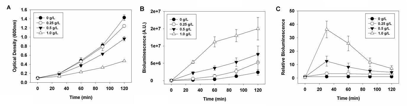 Ferulic acid의 발광 바이오센서 균주 (E. coli BL21(DE3)/pSP4)의 성장과 반응에 대한 영향