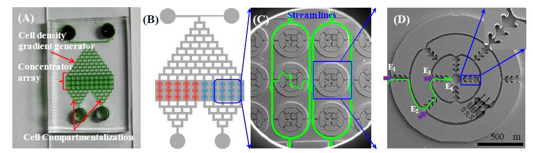 (A) 바이오부탄올 생산성 향상을 위한 배양조건 파라미터 최적화 연구를 위한 미세유체장치의 실제 사진 (B) 장치 개념도 (C) 장치의 SEM 이미지 (D) 균주 집적기