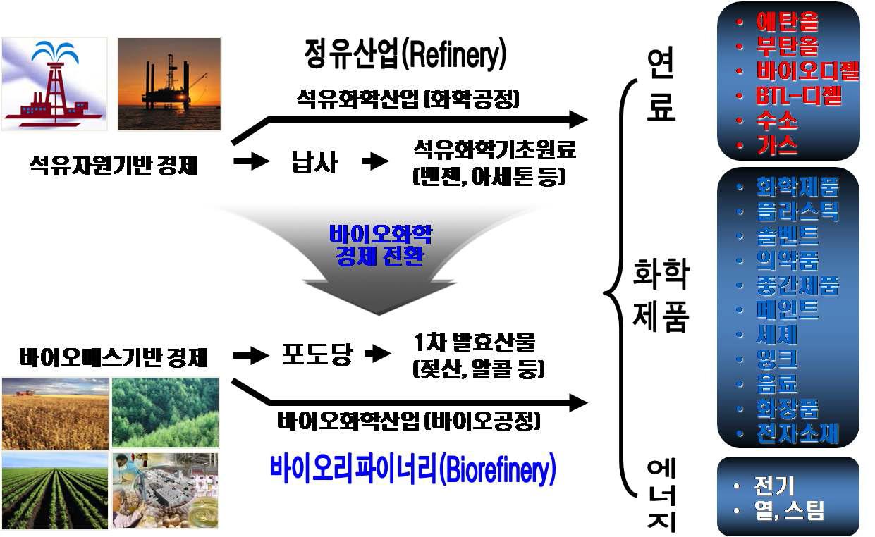 바이오화학산업(바이오리파이너리)