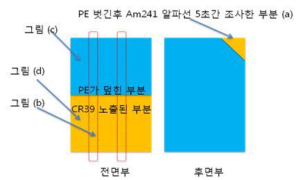 사용된 CR-39의 구조: 전극 뒷면에 위치한 부분을 전면부.