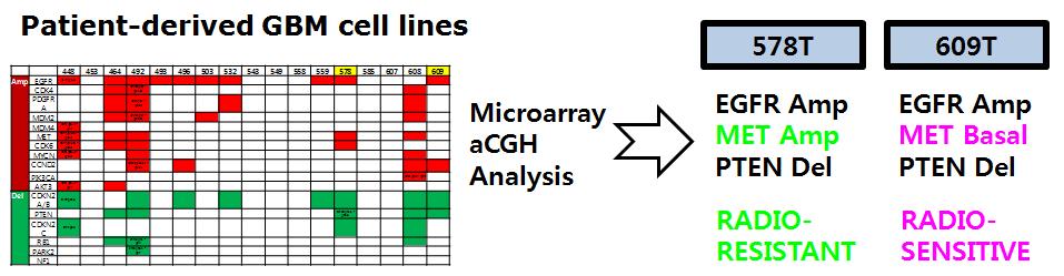 환자 유래 암세포의 microarray 및 aCGH 분석