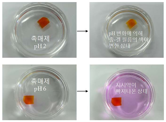그림 3-3-5 촉매제의 pH에 따른 졸-겔 물질의 다공성 변화 실험