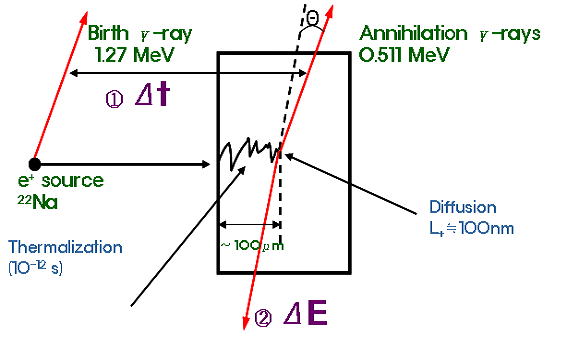 그림 3-2-5 22Na소스를 이용한 양전자 측정 기술의 기본 원리