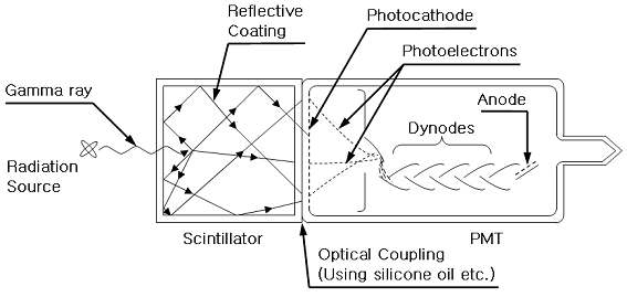그림 3-2-10 광전자증배관의 구조.