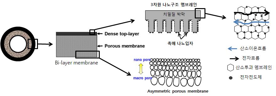 본 연구에서 개발하고자 할 3차원 나노구조 분리막 및 촉매소재 모식도