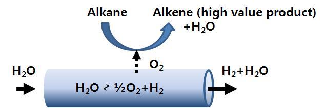 수소분해구동력향상 및 고부가가치화를 위한 멤브레인 반응기 설계