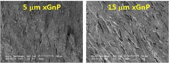 1,300 °C에서 10시간 소결한 UO2/xGnP 혼합 핵연료의 SEM 사진