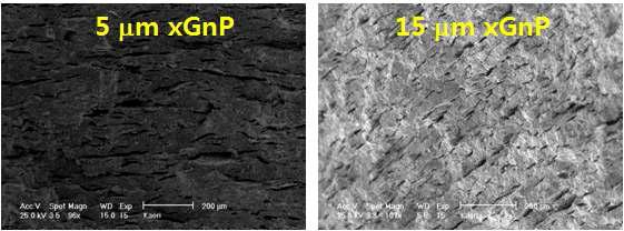 1,700 °C에서 5시간 소결한 UO2/xGnP 혼합 핵연료의 SEM 사진