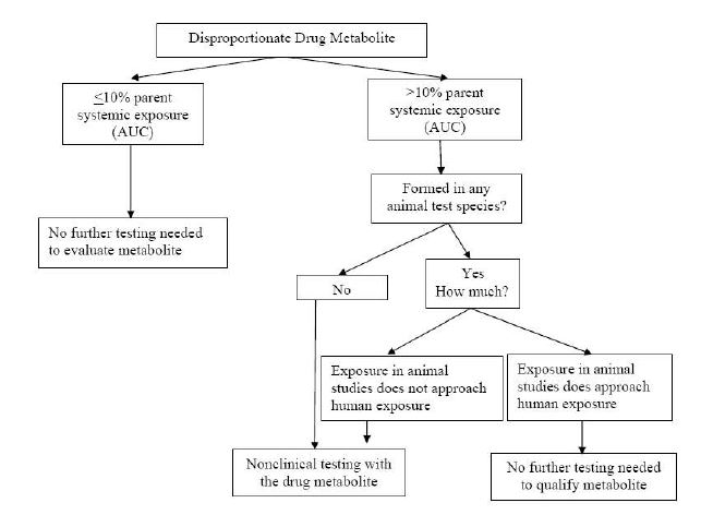 대사체 안전성시험을 위한 decision tree