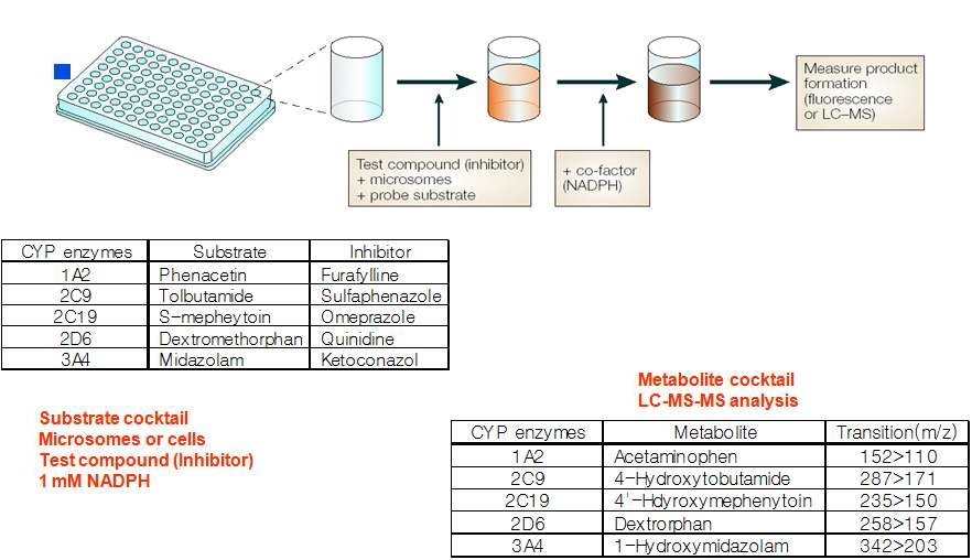 LC-MS/MS를 이용한 약물대사효소의 억제평가