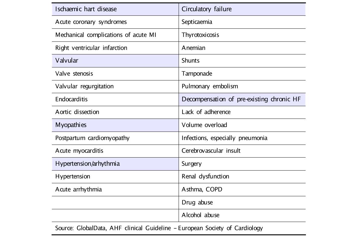 Causes and Precipitating Factors of Acute Heart Failure