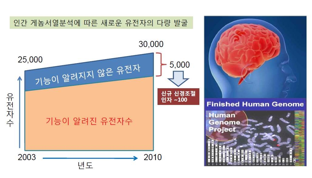 인간게놈분석에 따른 새로운 유전자 발굴