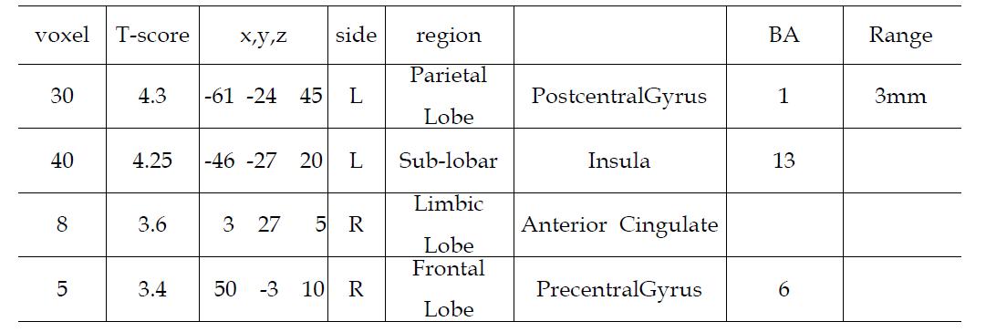 피험자의 오른손 검지 세 번째 위치(R3)에 가벼운 압력의 촉각 자극을 제시하였을 경우 이에 반응하는 뇌의 활성 영역
