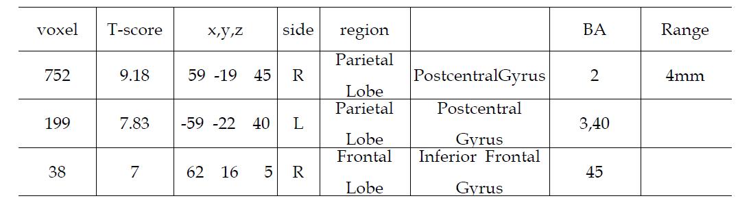 피험자의 왼손 검지 첫 번째 위치(L1)에 가벼운 압력의 촉각 자극을 제시하였을 경우 이에 반응하는 뇌의 활성 영역