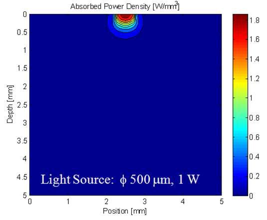 532 nm 파장에 대한 흡수 파워 밀도 시뮬레이션 결과