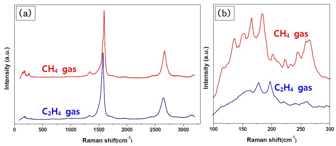 다양한 반응가스를 이용하여 합성된 DWCNT의 (a) Raman 스펙트라 (b) RBM 부분을 확대한 그림
