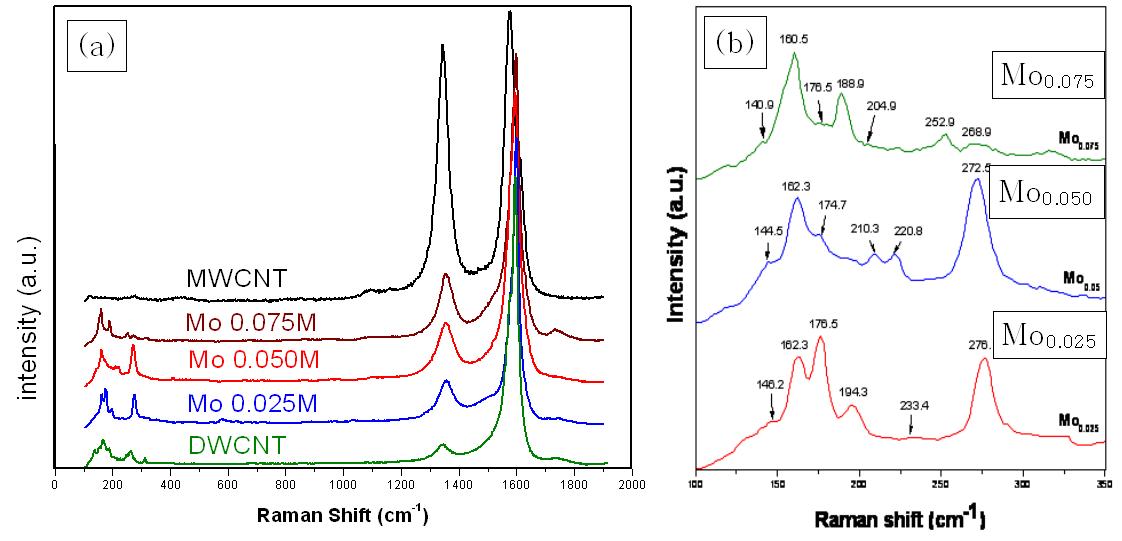 Mo 비율에 따른 thin-MWCNT의 Raman 스펙트라