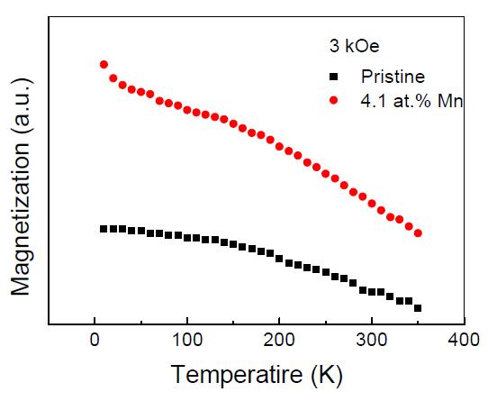 Pristine 과 망간이 도핑된 SWCNT의 온도에 따른 자화도의 변화