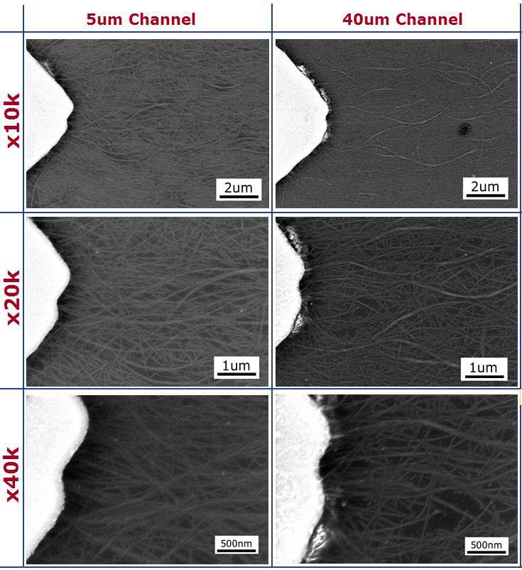 5 µm, 40 µm 채널 길이를 갖는 CNT-TFT의 채널부 SEM 사진