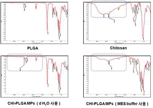 두 가지 chitosan 용액으로 코팅된 PLGA MPs의 FT-IR spectra