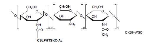 Proposed reaction scheme for synthesis of CKS9-conjugated water-soluble chitosan (CKS9-WSC)