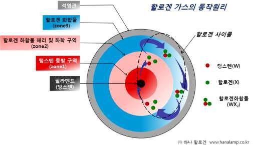 Halogen lamp의 동작원리