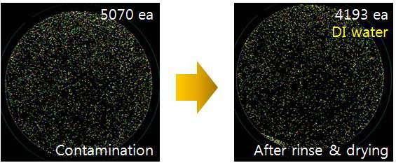 DIW를 이용한 Si wafer 에 오염된 Si3N4 입자 린스 및 건조 결과