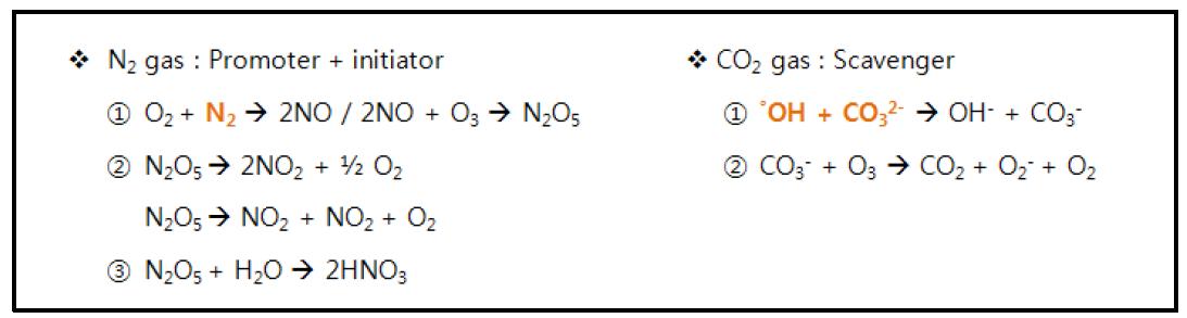 오존 발생 시 첨가가스(질소 및 이산화탄소)의 반응식